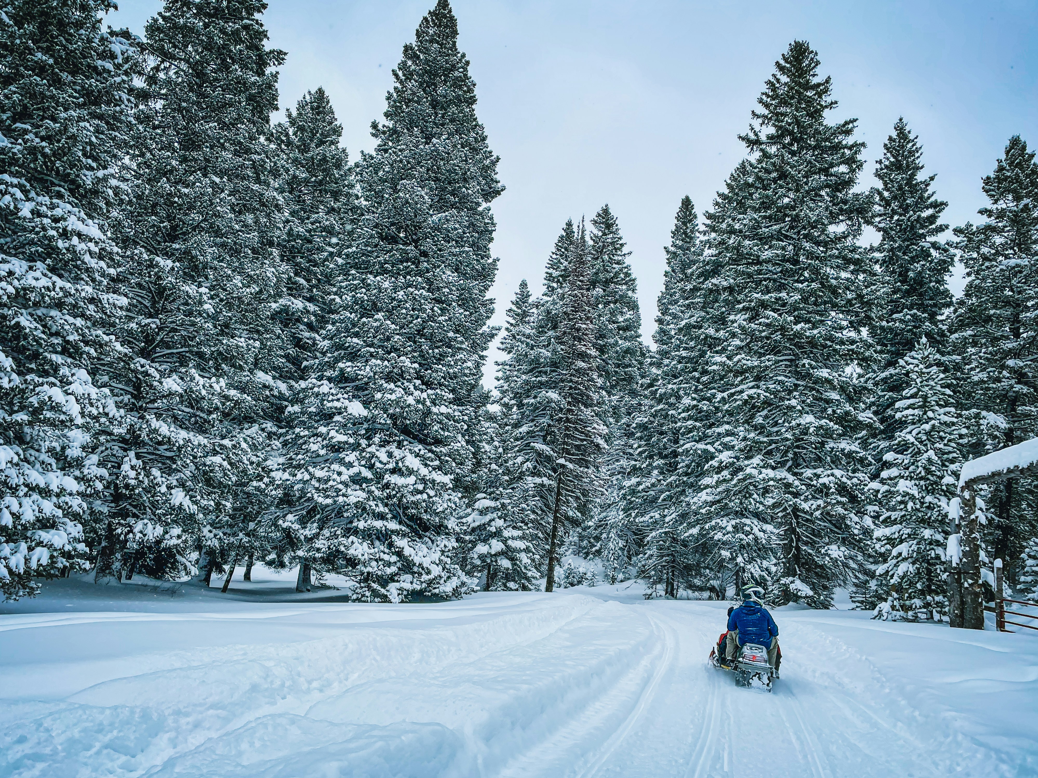 Riding a Snowmobile